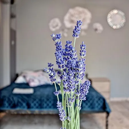 Kwatera prywatna Gościnne  U Gruszków Dzianisz